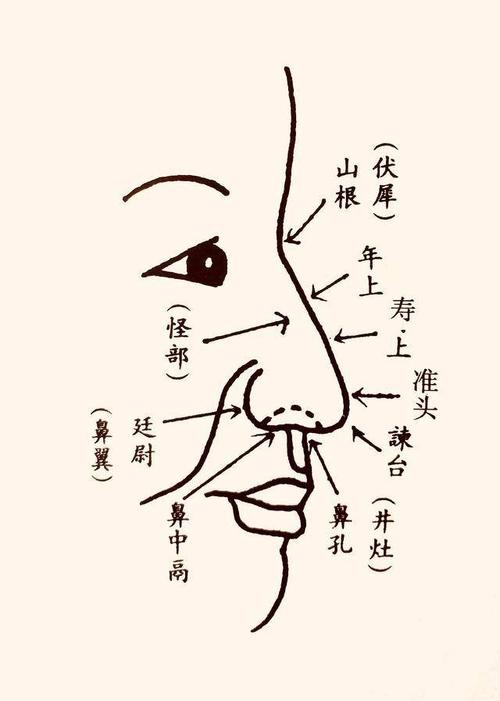 曾国藩看面相: 鼻为人生的缩影, 什么样的鼻子富贵命