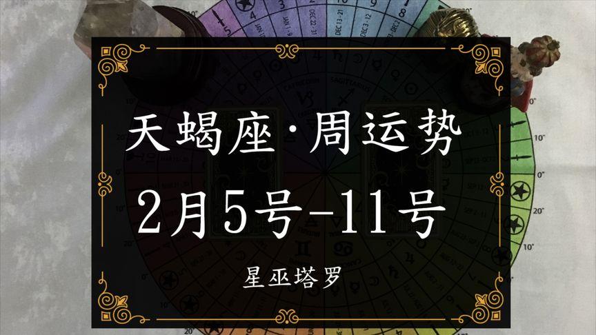 20年2月/天蝎座/星巫塔罗爱情周运势占卜2.5-2.11,三角关系!
