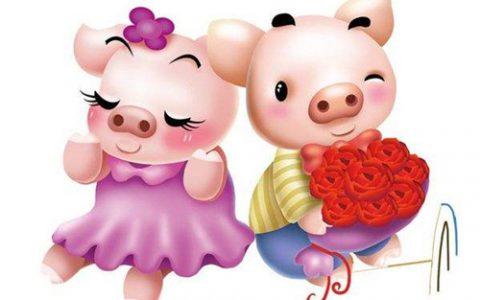 鼠和猪相配婚姻如何,男属猪女属鼠的婚姻配吗