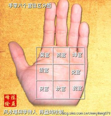 文化/艺术 > 手掌八宫分布与身体健康   手相学将人的手掌分为八个宫
