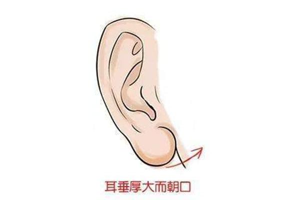 面相学耳朵代表什么