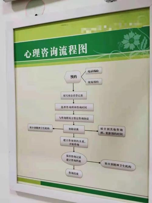 北京某高校心理咨询流程图 图源:杨燕 摄