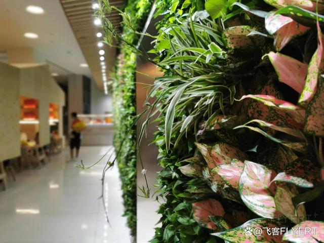 在海河畔诠释新古典主义风情——天津丽思卡尔顿(图48)