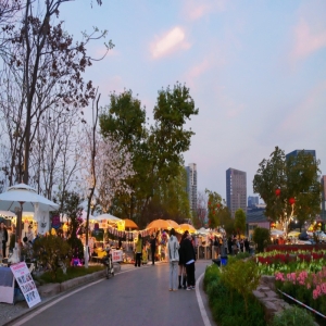 创新发展消费新业态 两江新区熊婆婆的花园夜市日均游客近万人